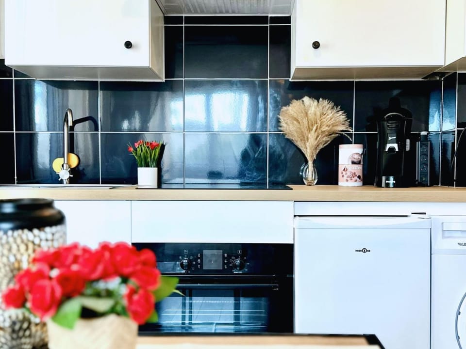 Kitchen or kitchenette, stove, stove, kitchen, kitchen