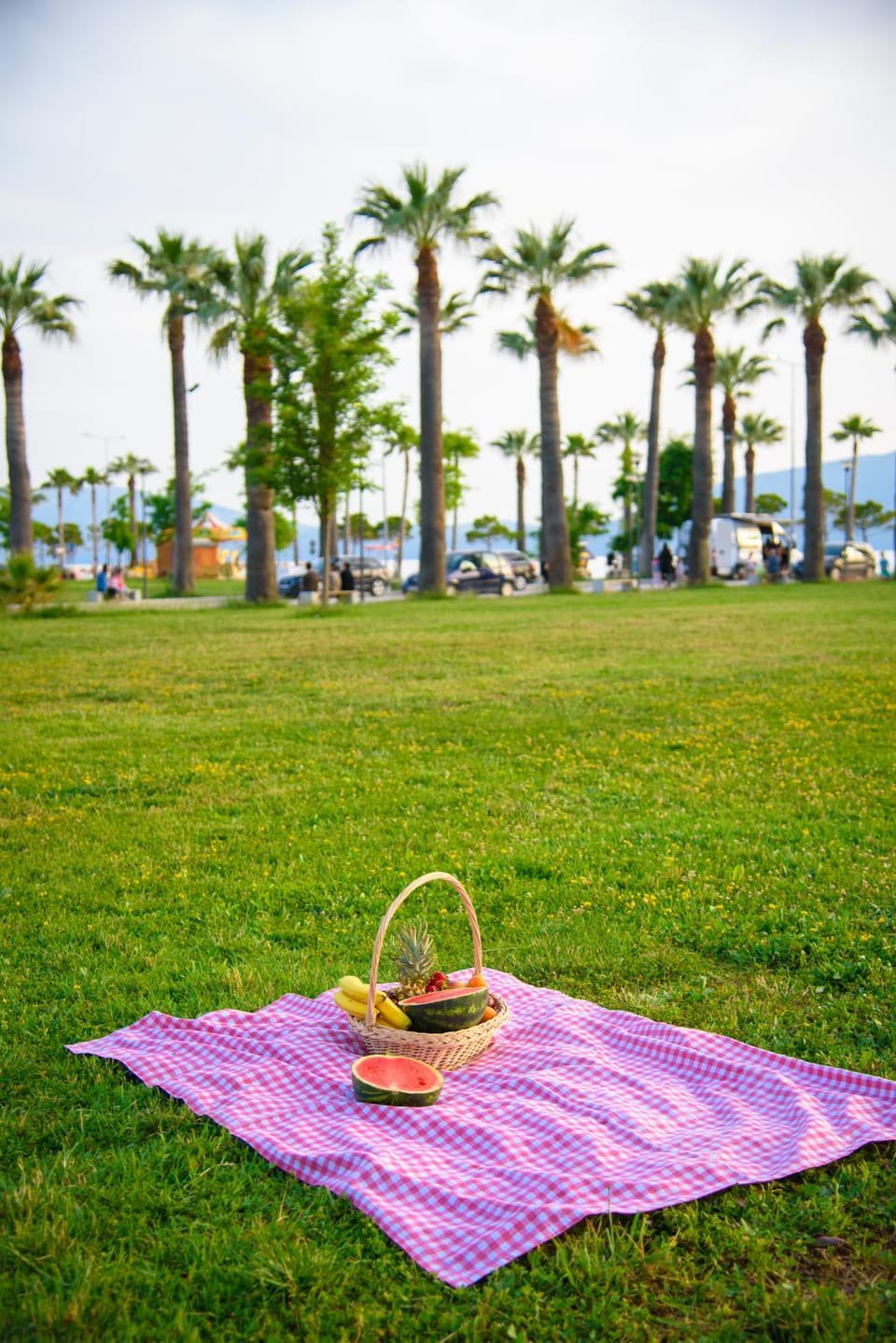 Garden, Food and drinks, Food