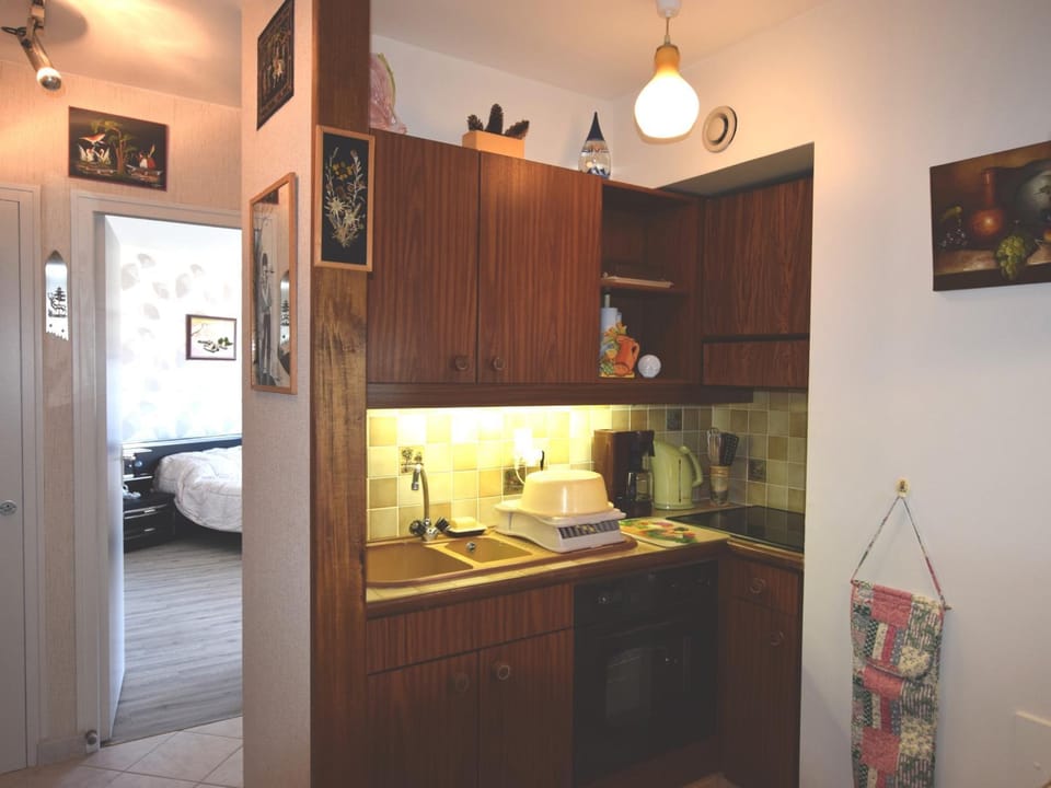 Appartement spacieux à Évian, animaux admis - FR-1-498-77 Apartment in Évian-les-Bains