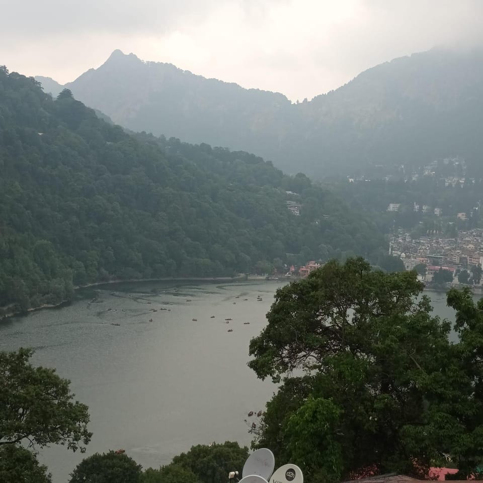 View (from property/room)