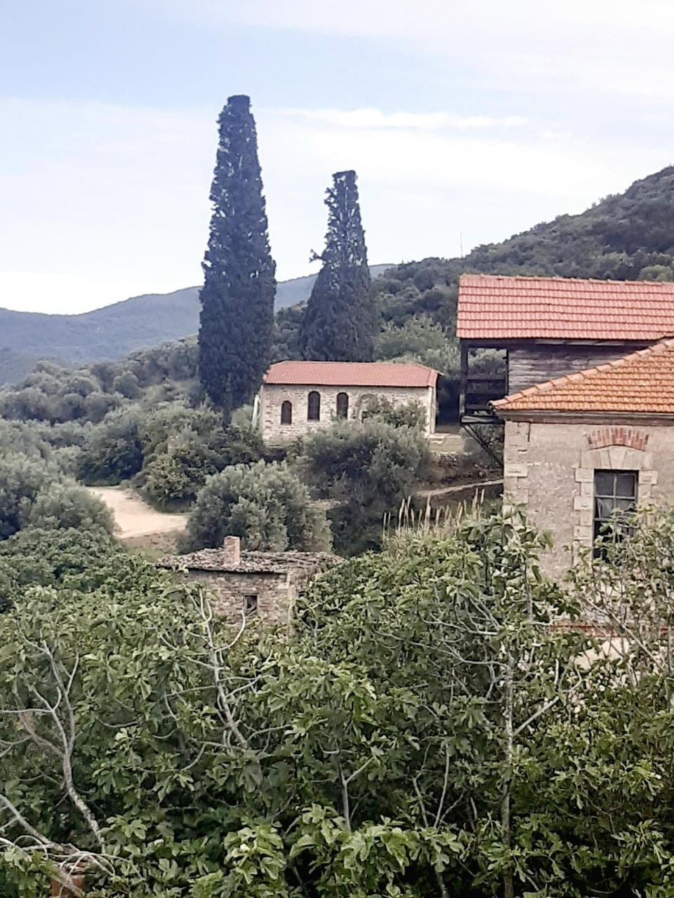 Studio Wilem Apartment in Halkidiki