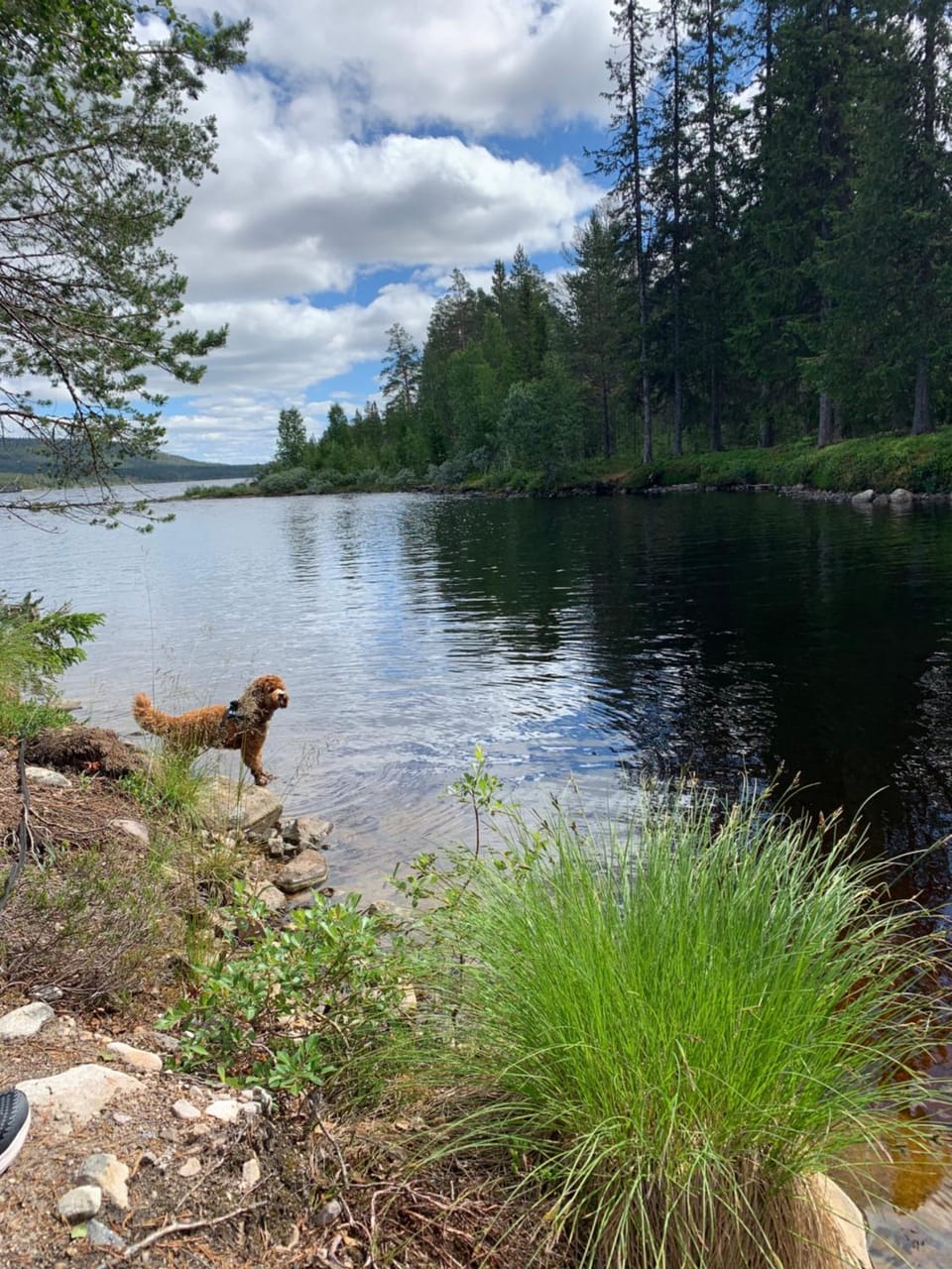 1125 Fjällstugan House in Sweden