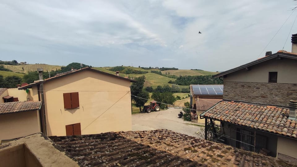 View (from property/room)