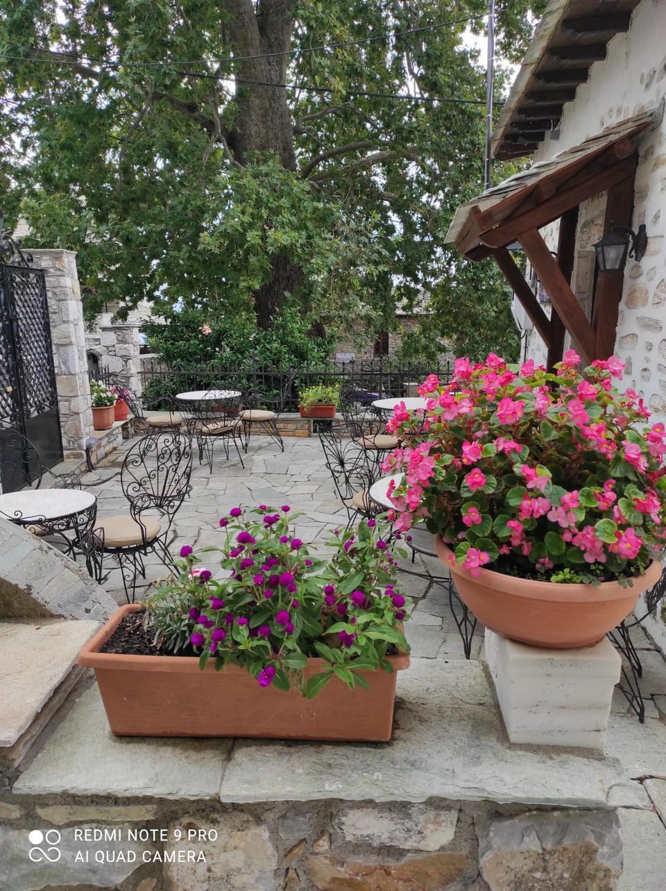 ΘΕΤΙΣ Bed and Breakfast in Magnesia Prefecture, Greece