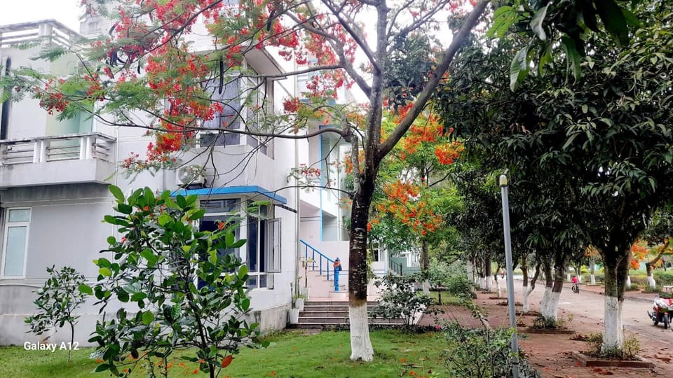 Villa 407 Eureka resort Linh Trường Apartment in Vietnam