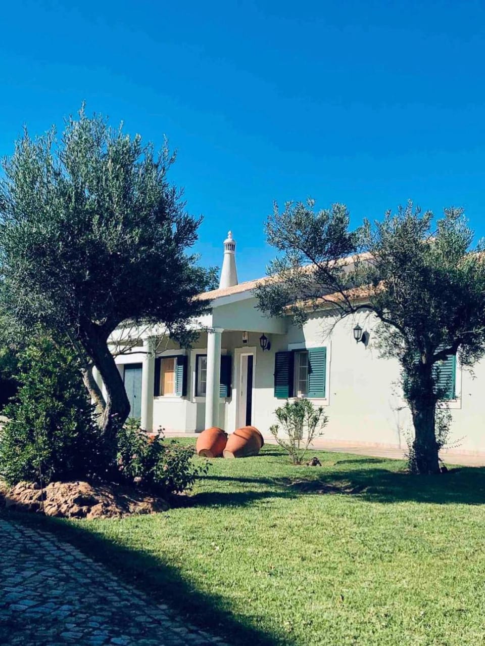 Olive Villa Villa in Faro District