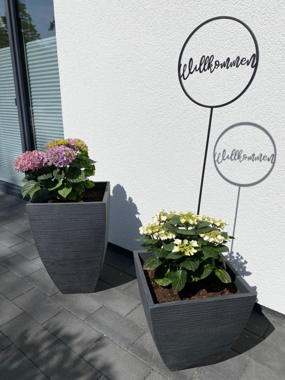 Patio, Garden