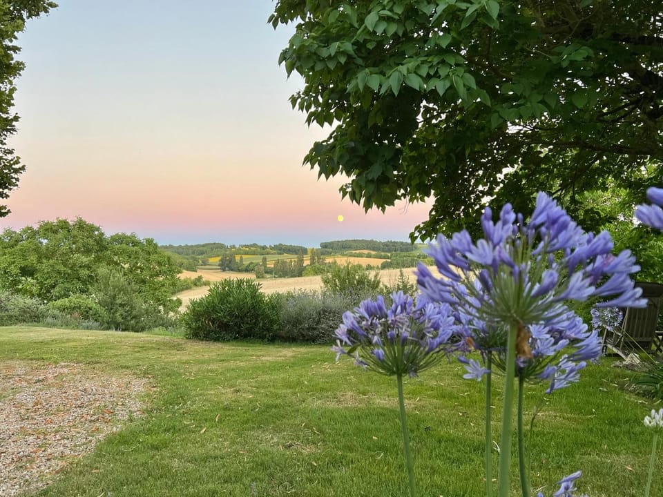 Garden view