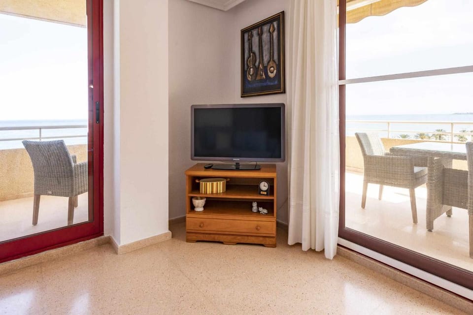 TV and multimedia