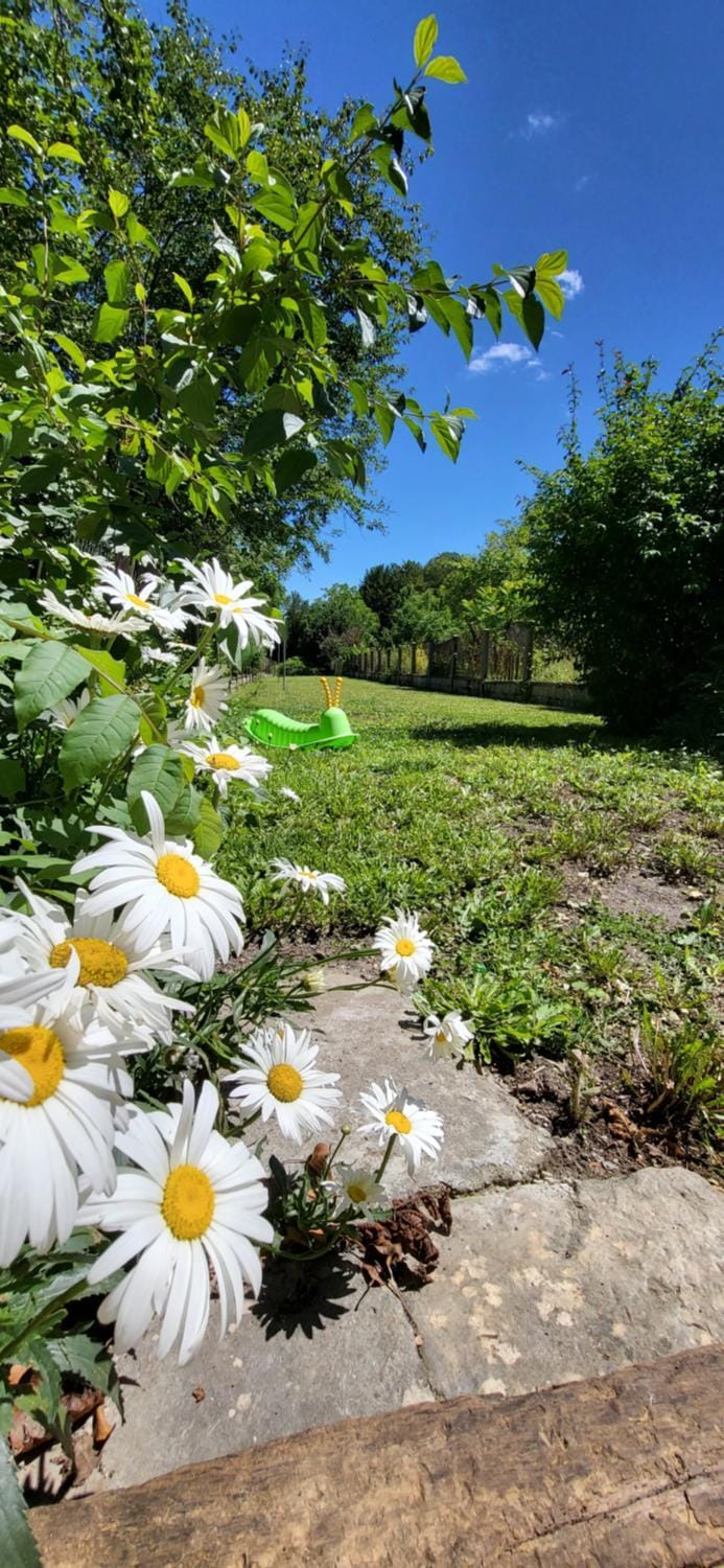 Natural landscape, Garden