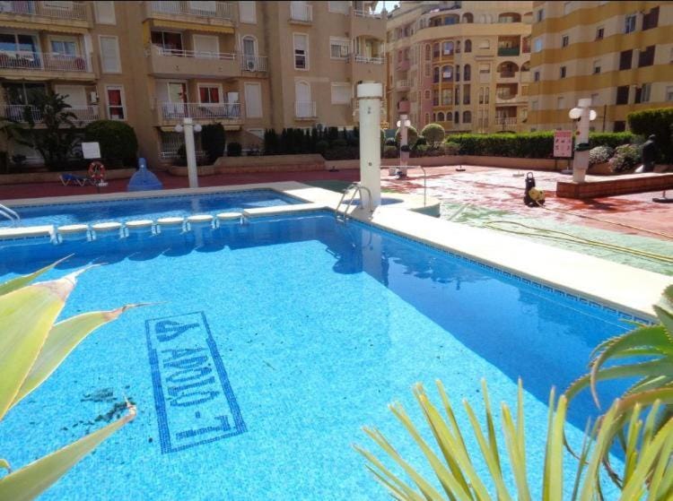 Shower, Property building, Garden, Swimming pool, sunbed