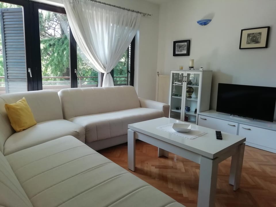 Communal lounge/ TV room, Living room, Seating area