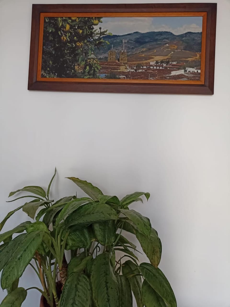 La Casa de Mamá Tere Apartment in Santander, Colombia