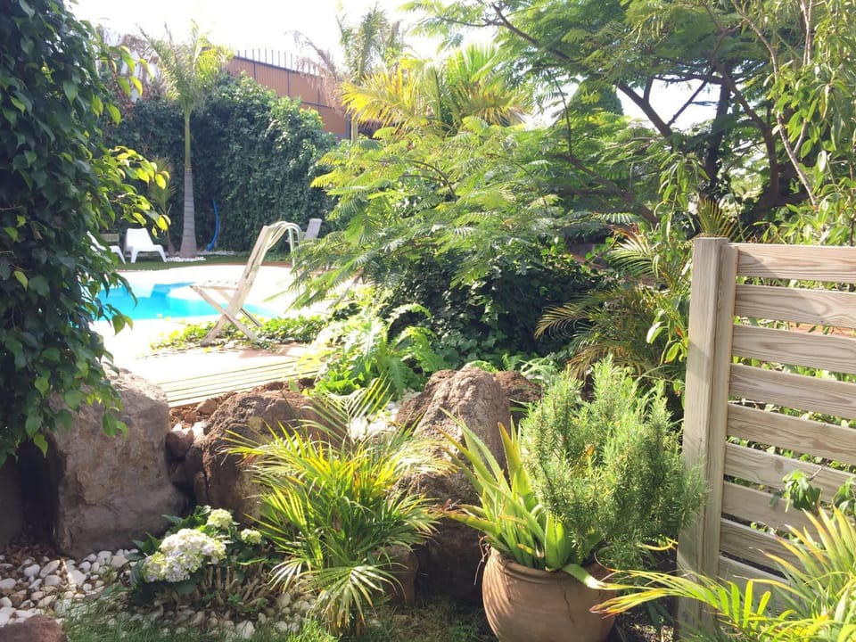 Garden, Pool view, Swimming pool