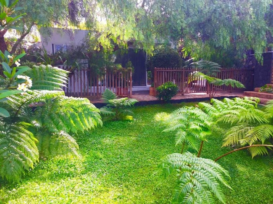 Garden, Garden view