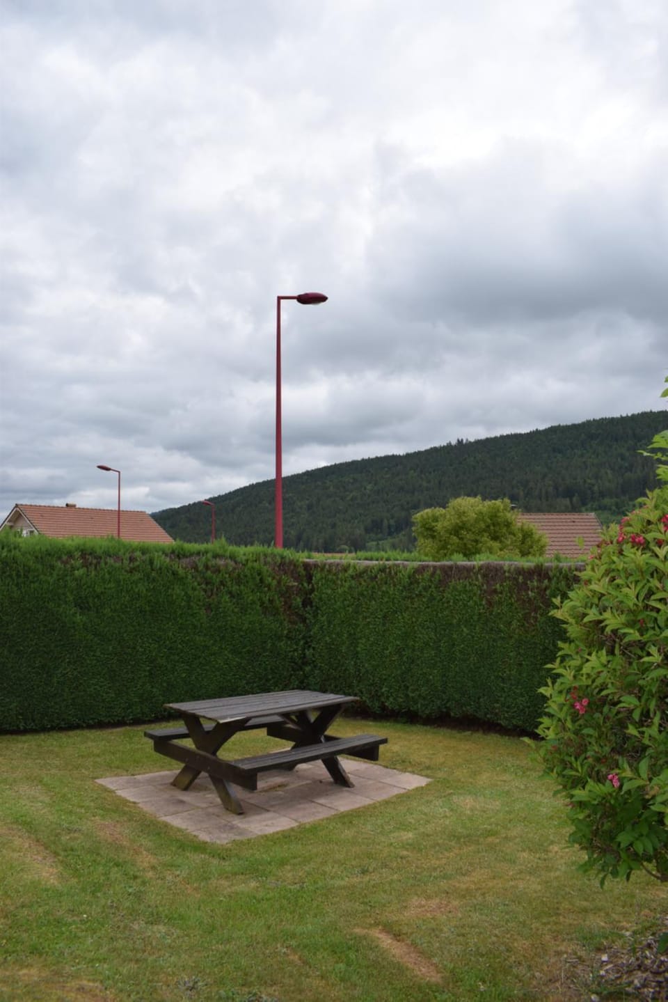 Garden, Mountain view
