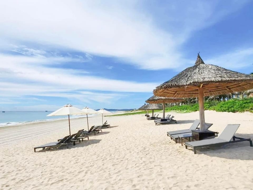 Beach, sunbed