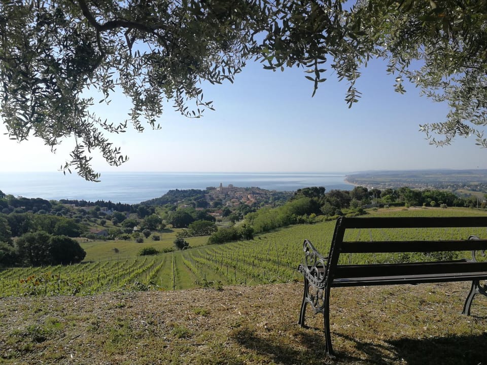 Natural landscape, Mountain view, Sea view