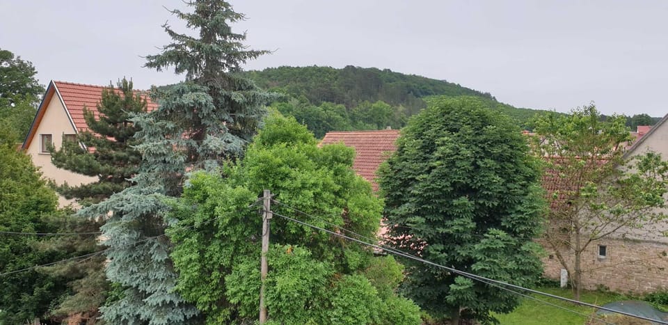 Natural landscape, View (from property/room)