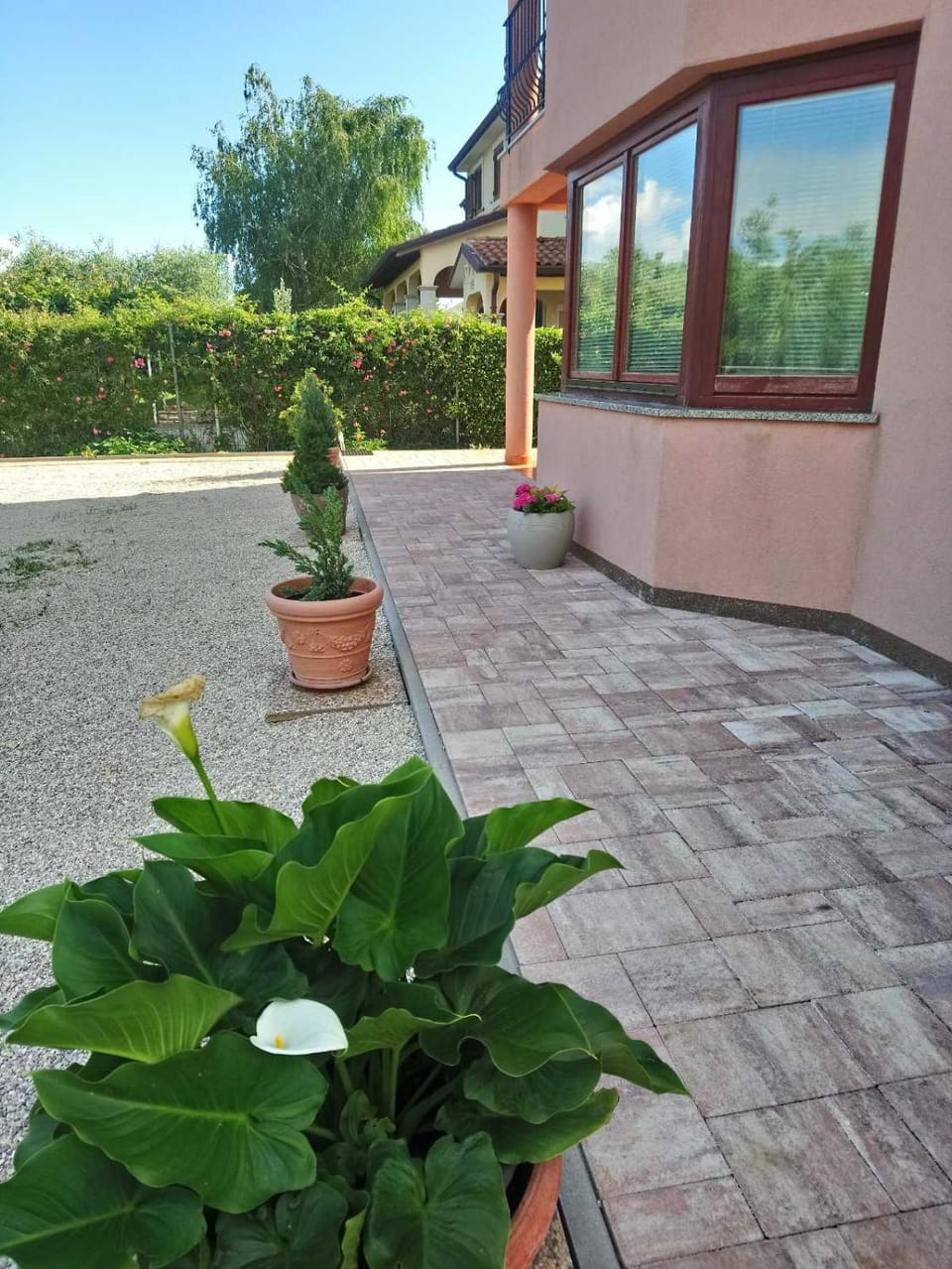 Appartment MASS Apartment in Istria County