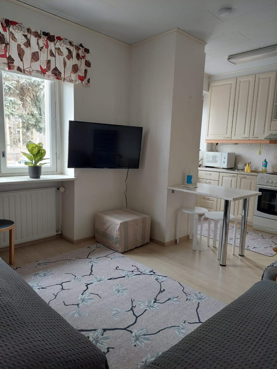 Photo of the whole room