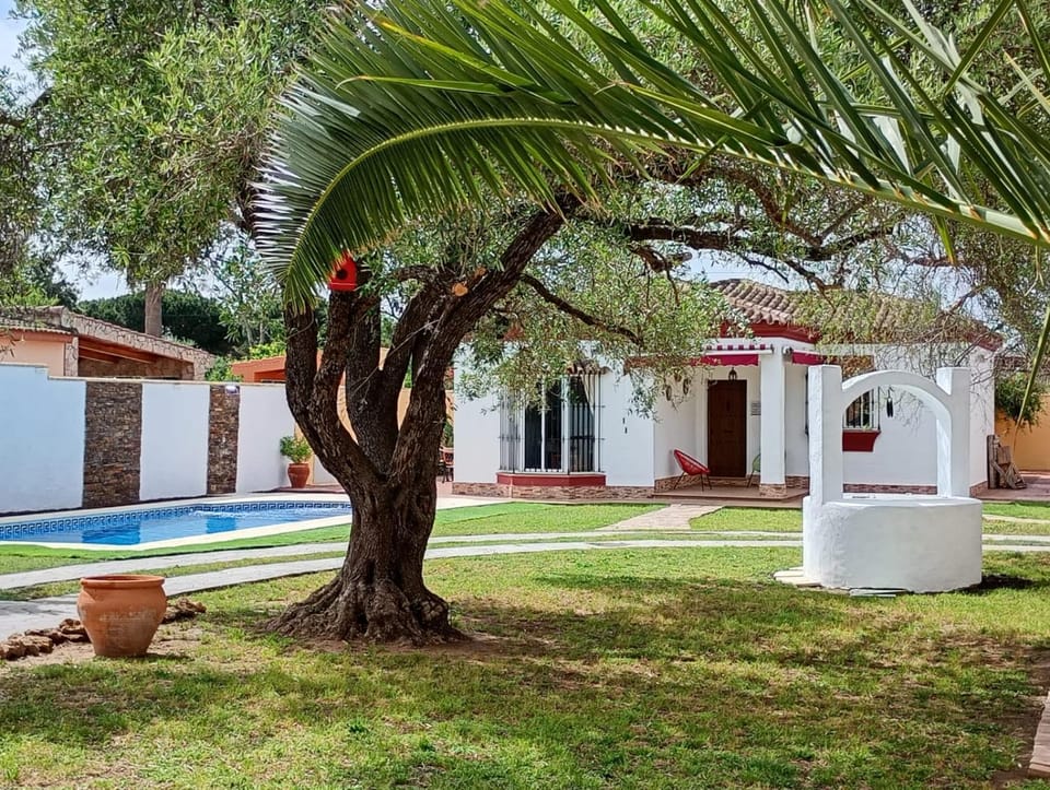 Off site, Garden