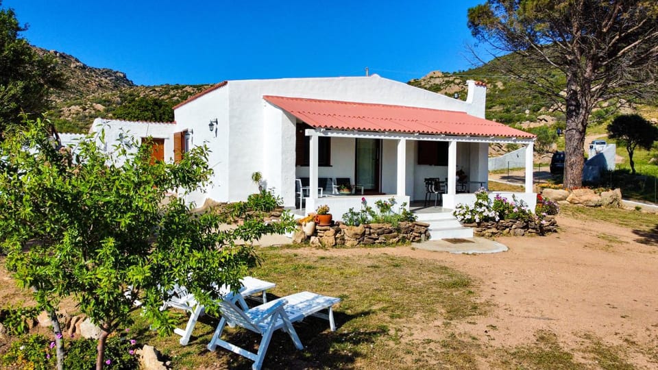 Property building, Garden view