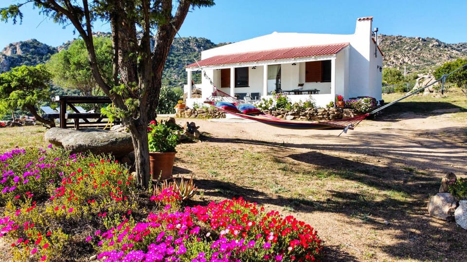 Property building, Garden, Garden view, sunbed
