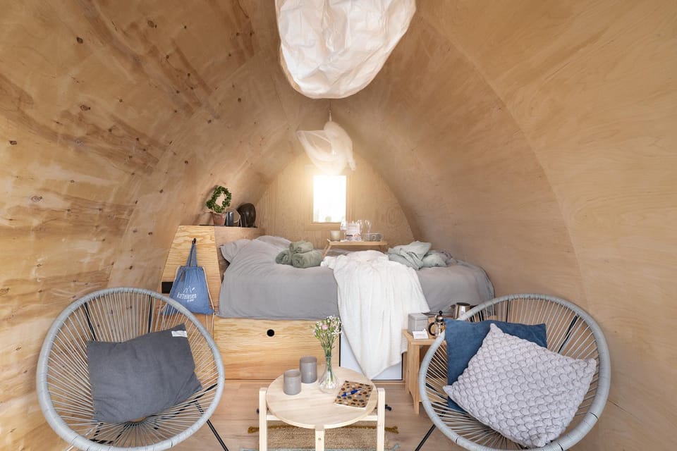 Bed, Living room, Photo of the whole room, Seating area, Bedroom