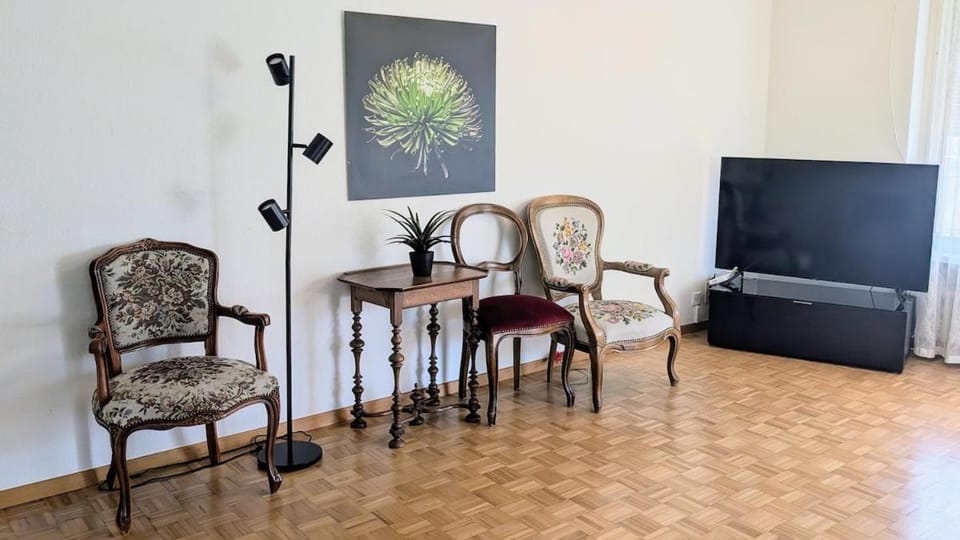 Vaduz Castle View Apartment in City Center with balcony and parking Apartment in St. Gallen, Switzerland