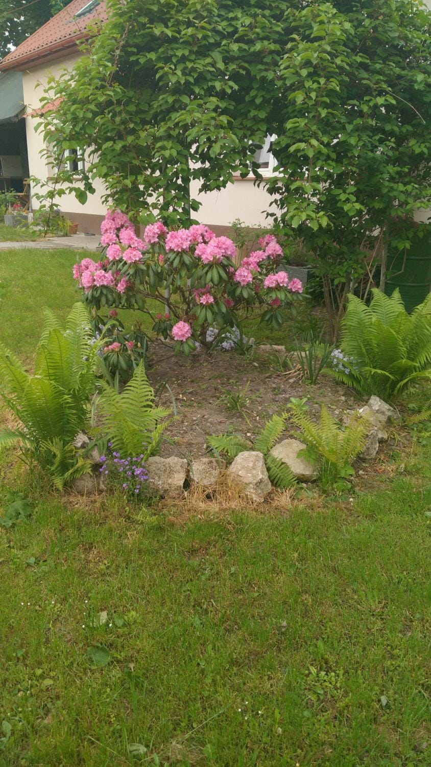 Natural landscape, Garden