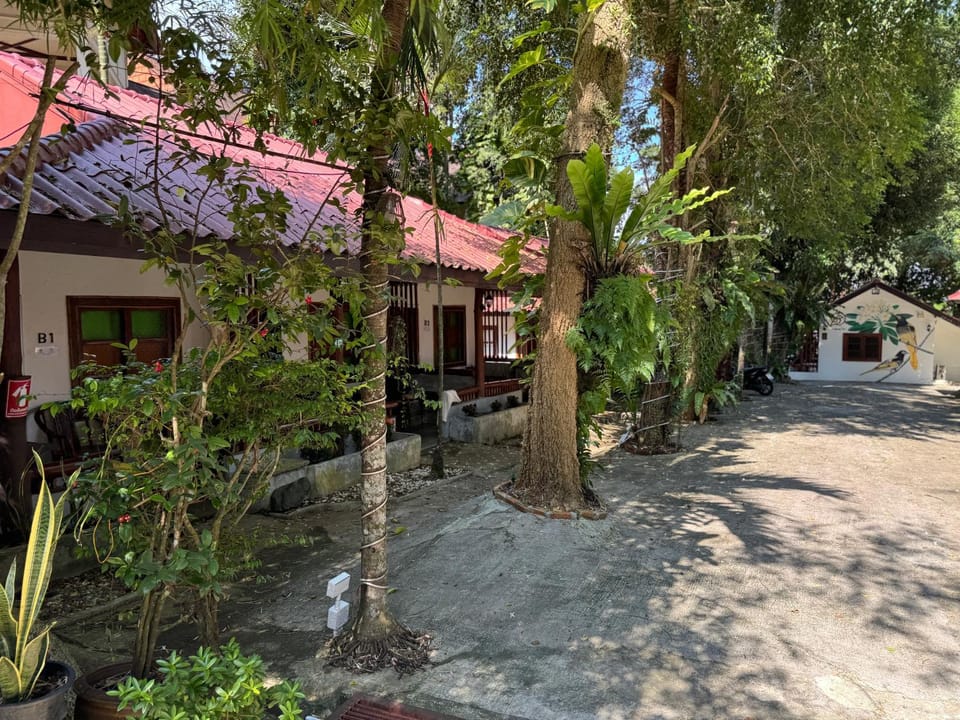 Property building, Day, Garden, Garden view