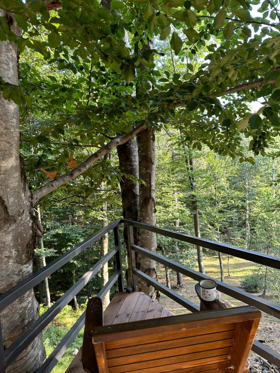 Forest House Divcibare Villa in Zlatibor District, Serbia