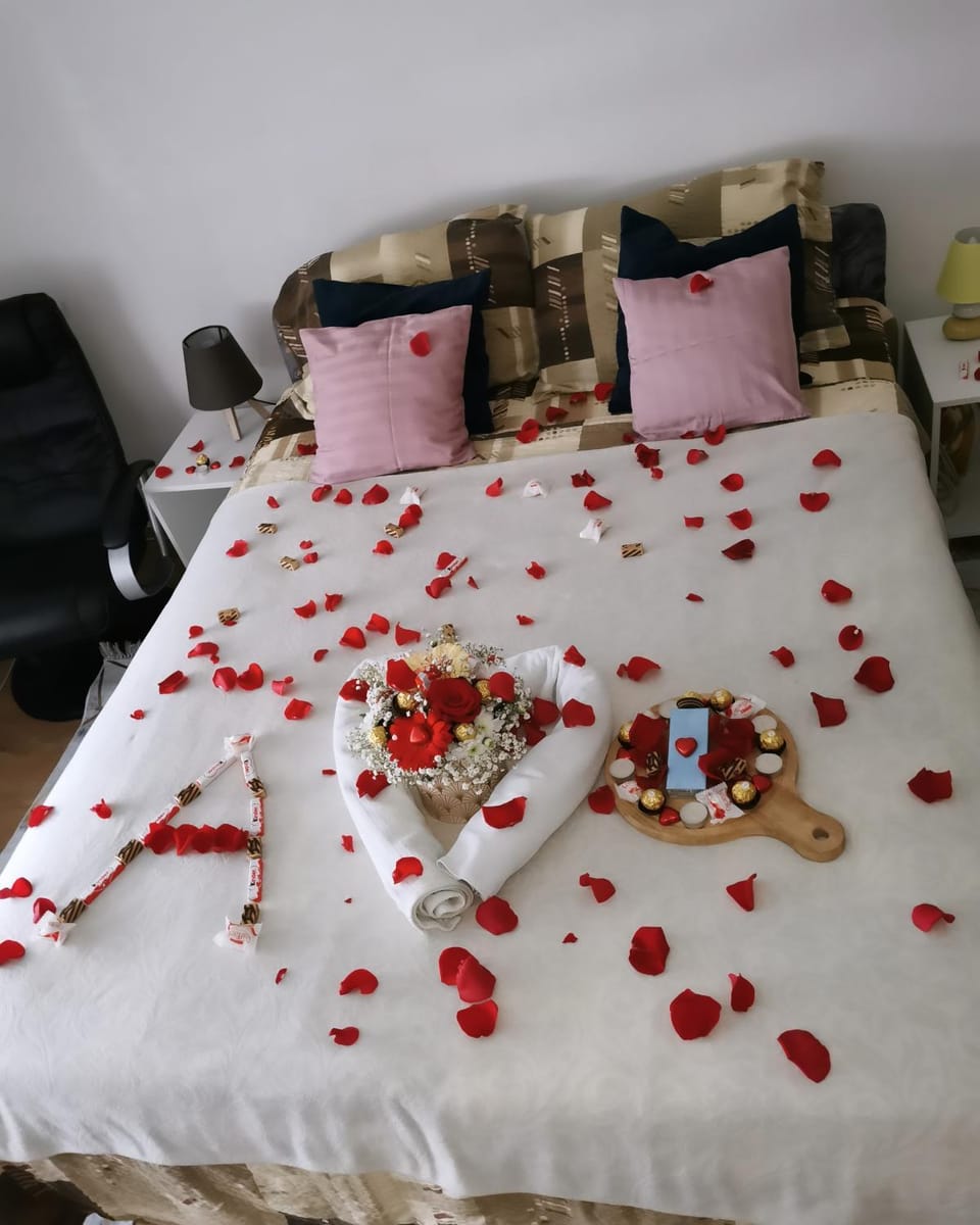 Teslić Apartman NiA Apartment in Federation of Bosnia and Herzegovina