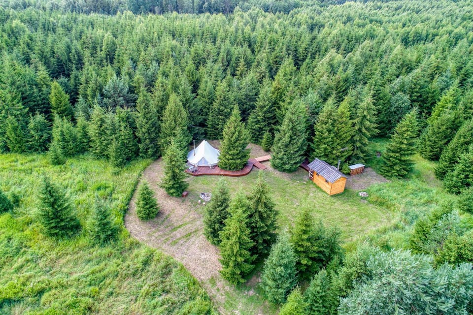 Day, Neighbourhood, Natural landscape, Garden