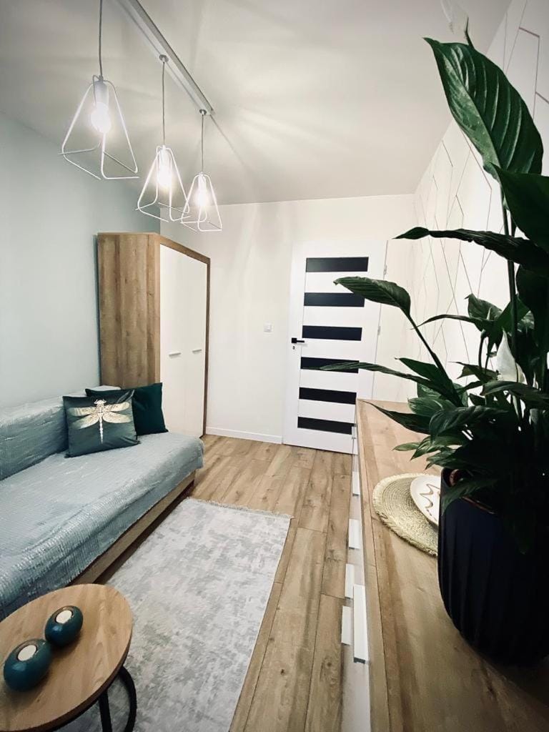 Apartament Króla Apartment in Poland