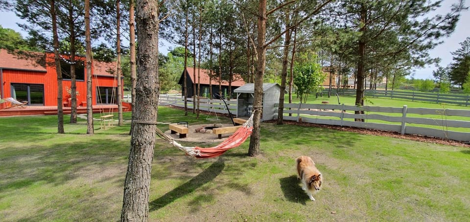 Garden, Pets