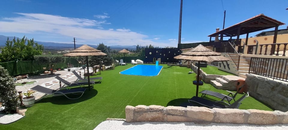 Garden, Swimming pool, sunbed