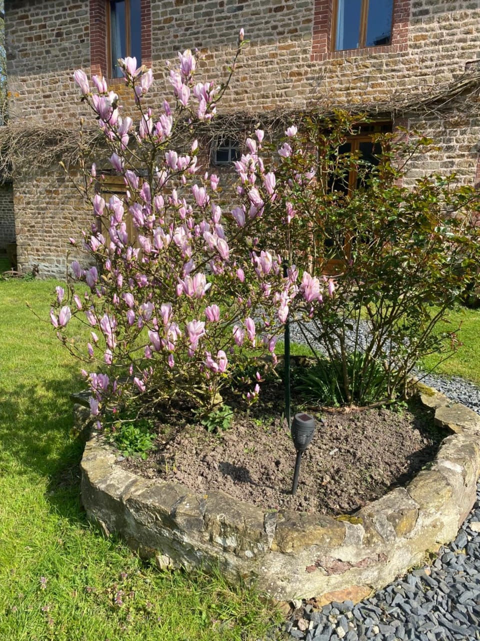 Property building, Spring
