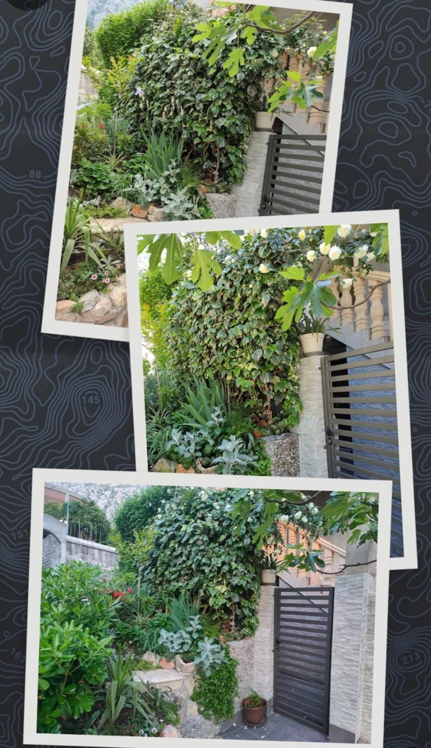 Studio Apartman Rea Apartment in Dobrota