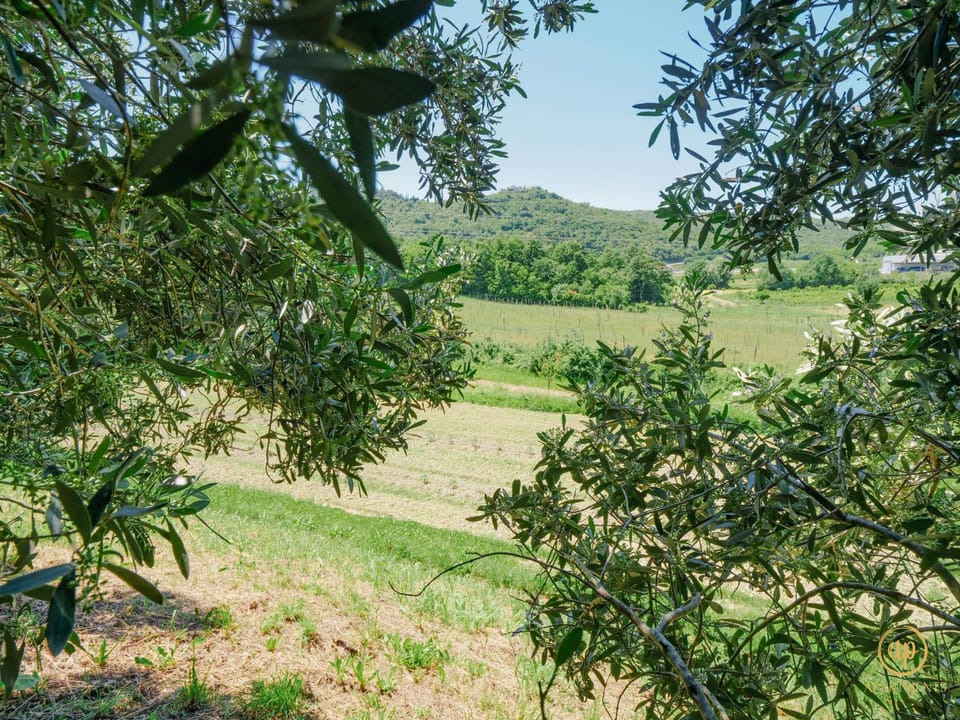 Natural landscape