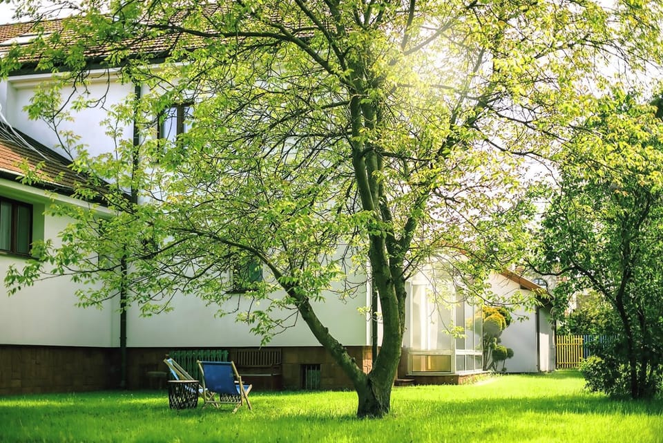 Property building, Garden, Garden, Garden view