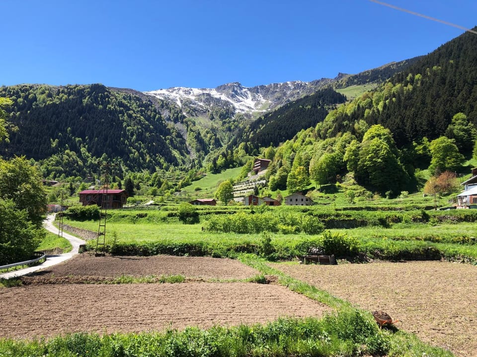 Natural landscape, Garden view