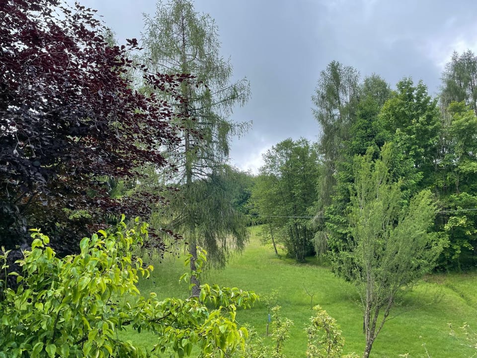 Natural landscape, Garden