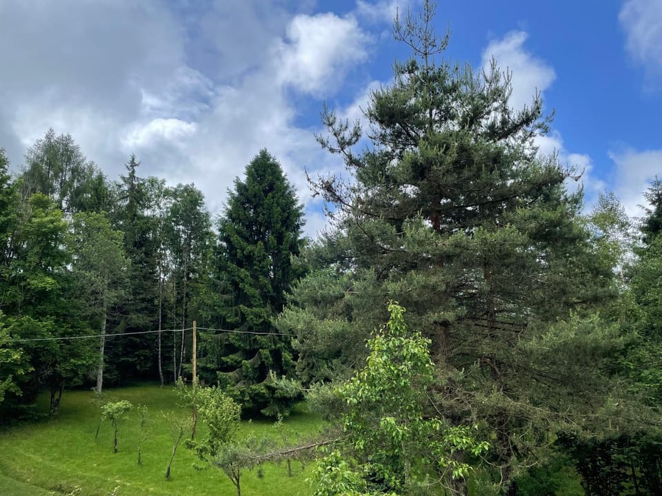 Natural landscape