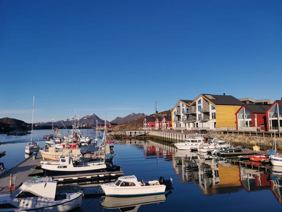 Karlotte's apartment Apartment in Lofoten