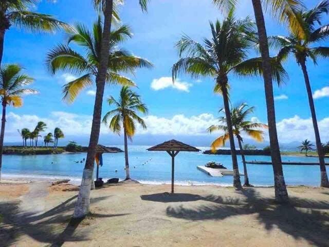 Beach, Sea view