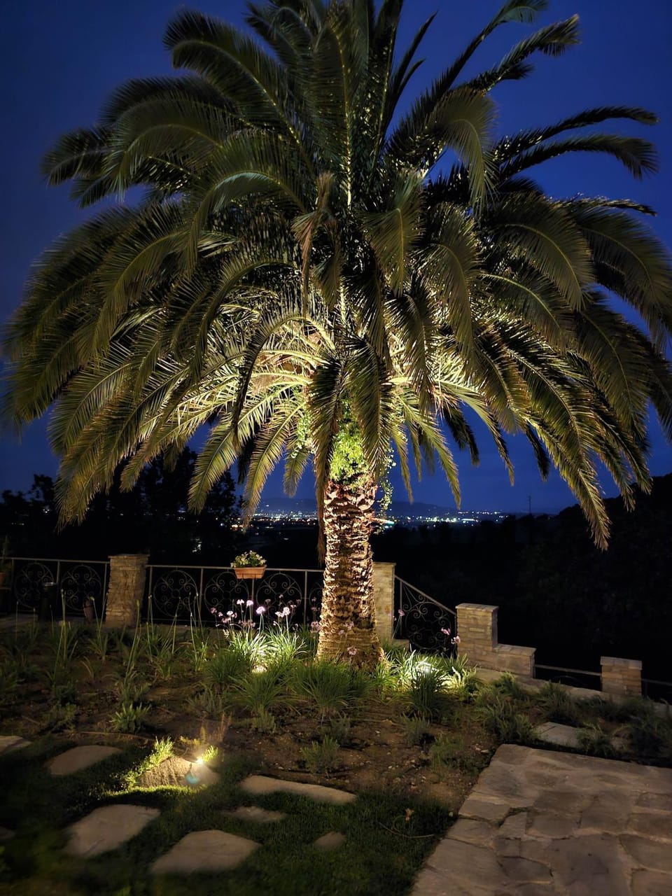 Night, Garden