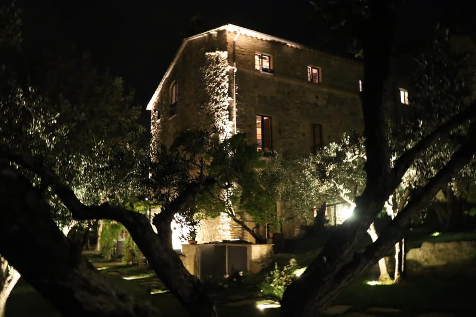 Night, Garden, Garden view