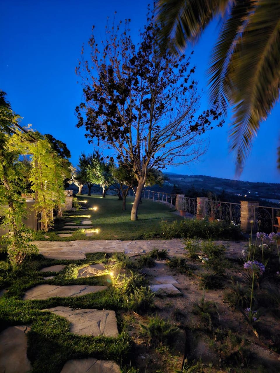 Night, Natural landscape, Garden